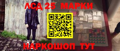 прущие грибы Конаково