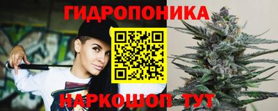прущие грибы Конаково