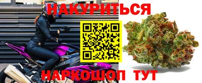 шишки Коммунар
