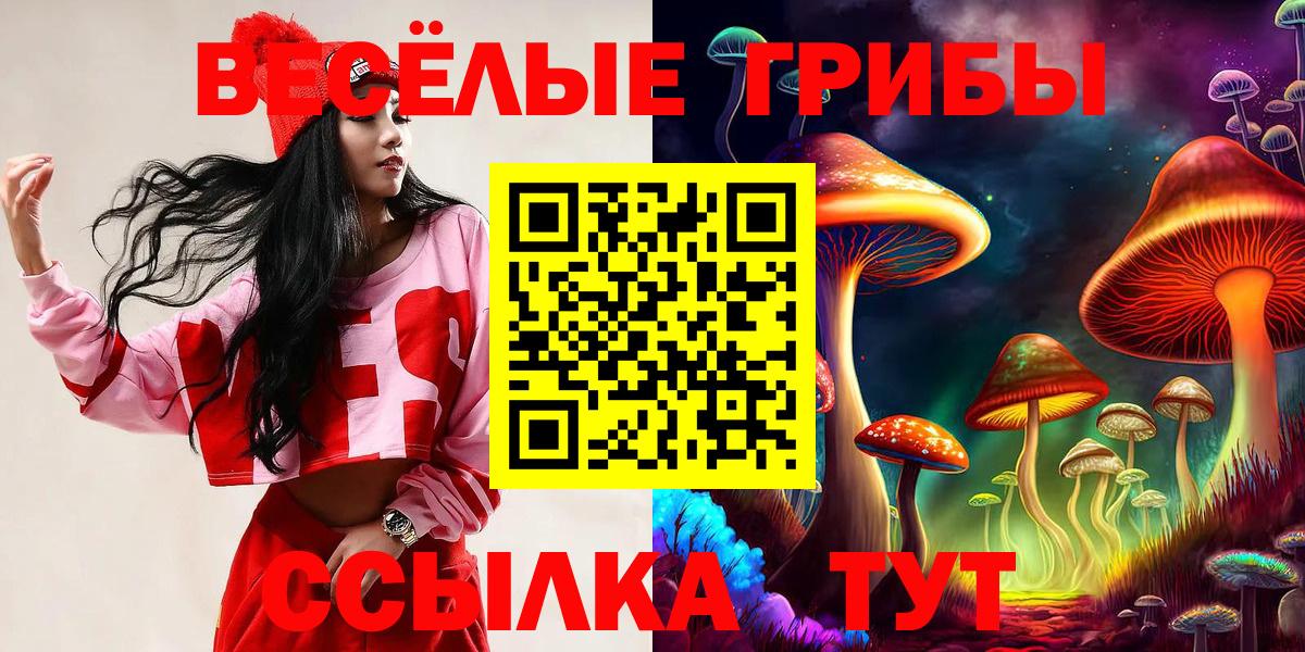Псилоцибиновые грибы Cubensis  Вход с VPN  Канаш  Галлюциногенные грибы мицелий 