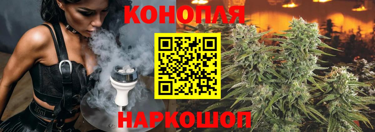 Бошки Шишки гибрид Канаш